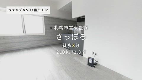 動画