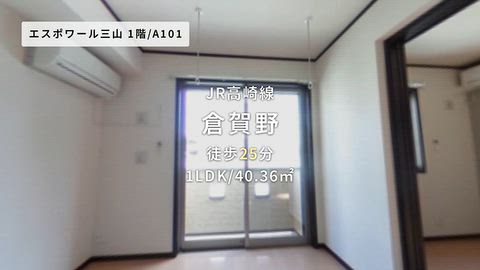 動画