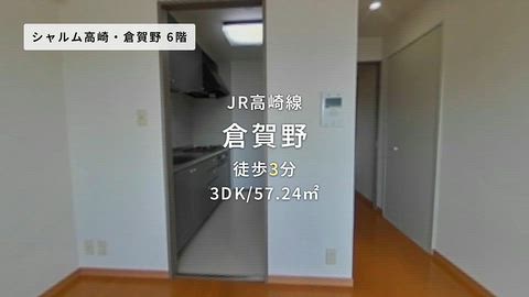 動画