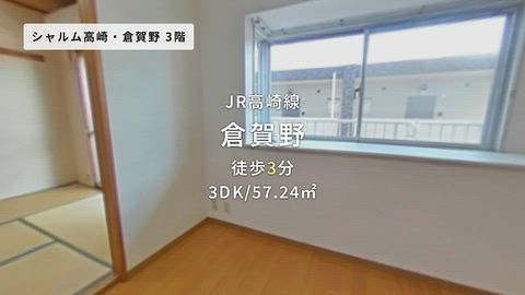 動画