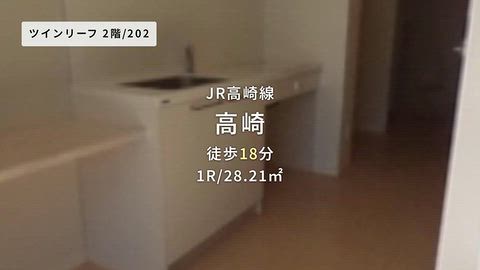 動画
