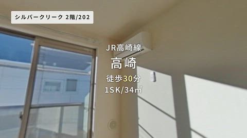 動画