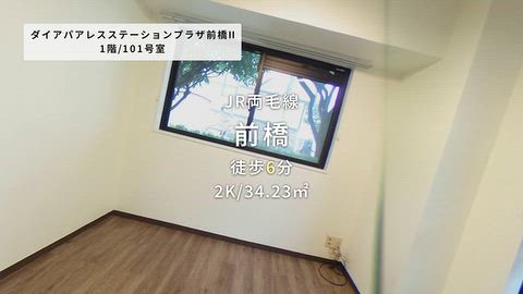 動画