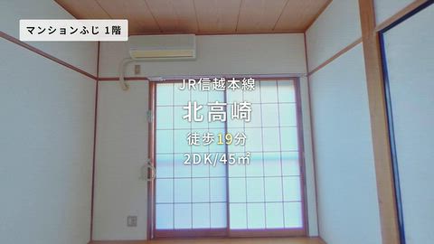 動画
