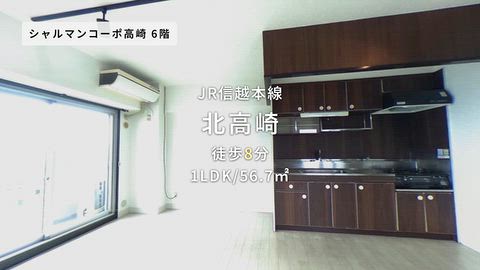 動画