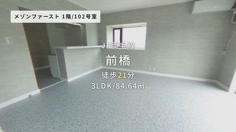 動画