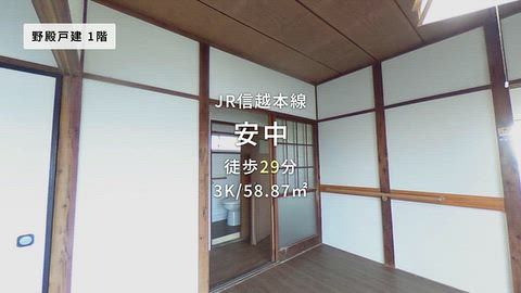 動画