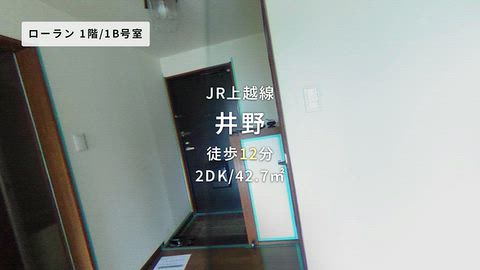 動画