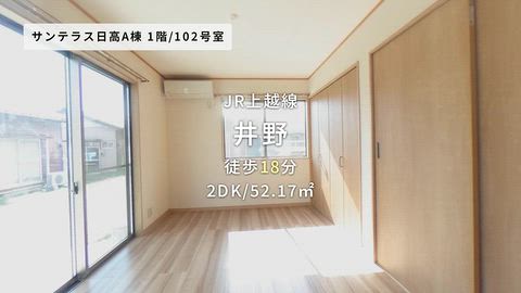 動画
