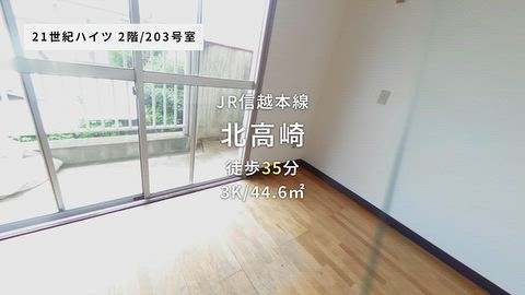 動画