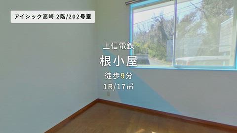 動画