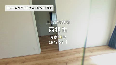 動画