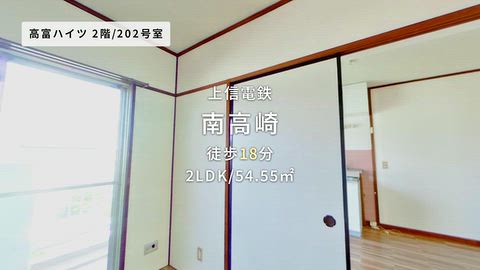 動画