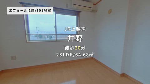 動画