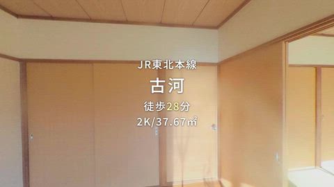 動画