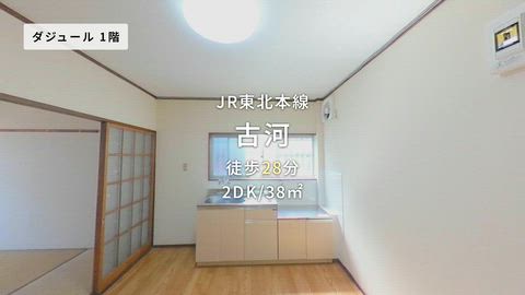 動画