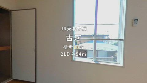 動画