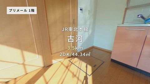 動画
