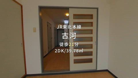 動画