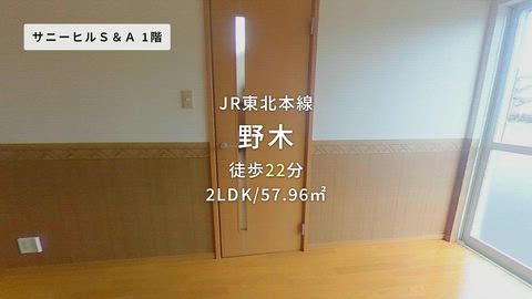 動画