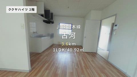 動画