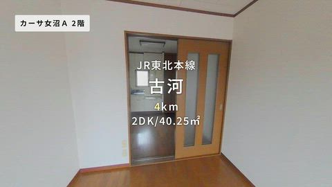 動画