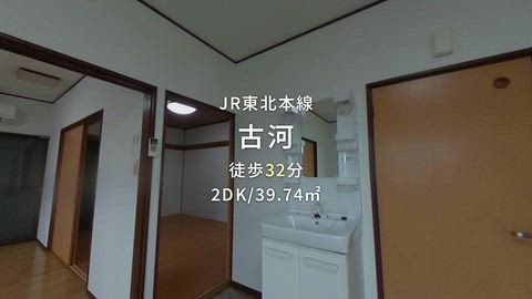 動画