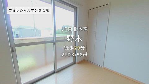 動画