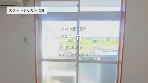 動画