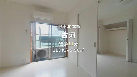 動画