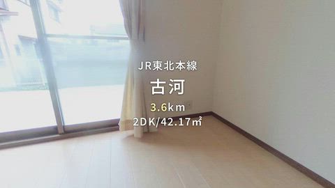 動画