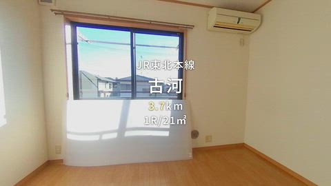 動画