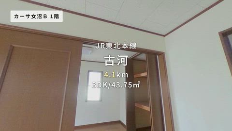 動画