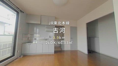 動画