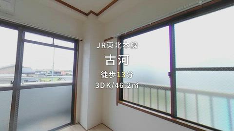 動画