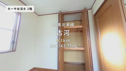 動画