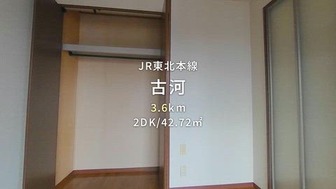 動画