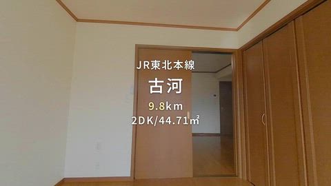 動画