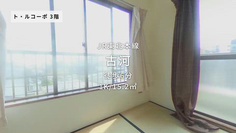 動画
