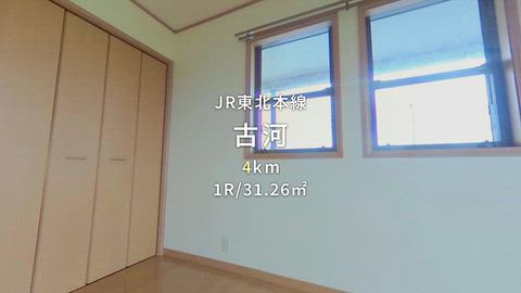 動画