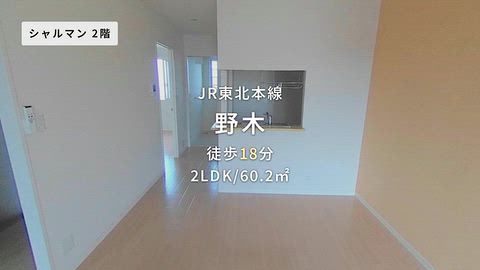 動画