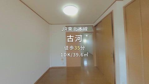 動画