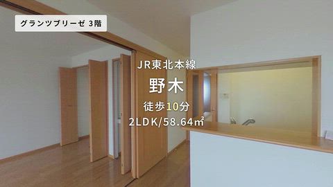 動画