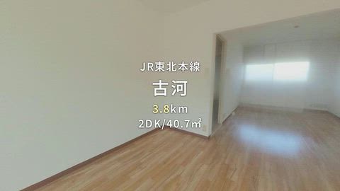 動画