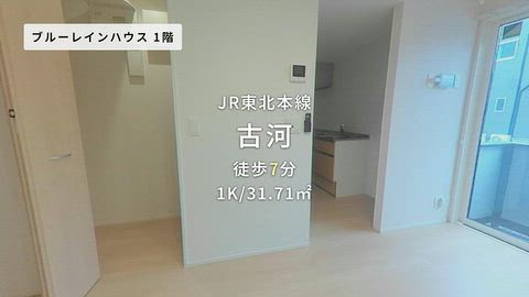 動画