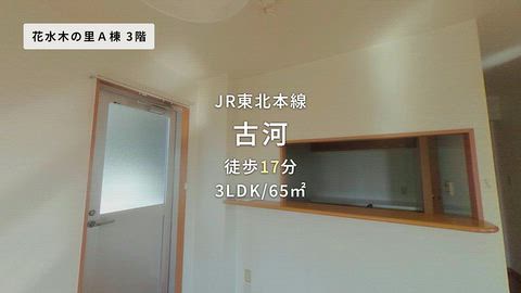 動画