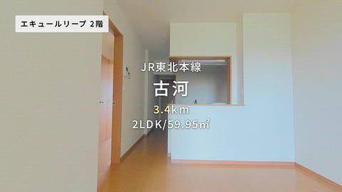 動画
