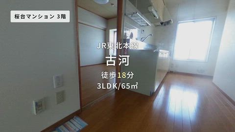 動画