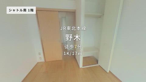 動画