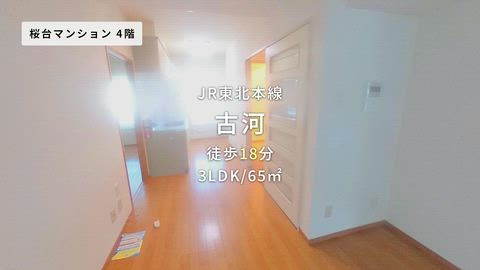 紹介ムービー